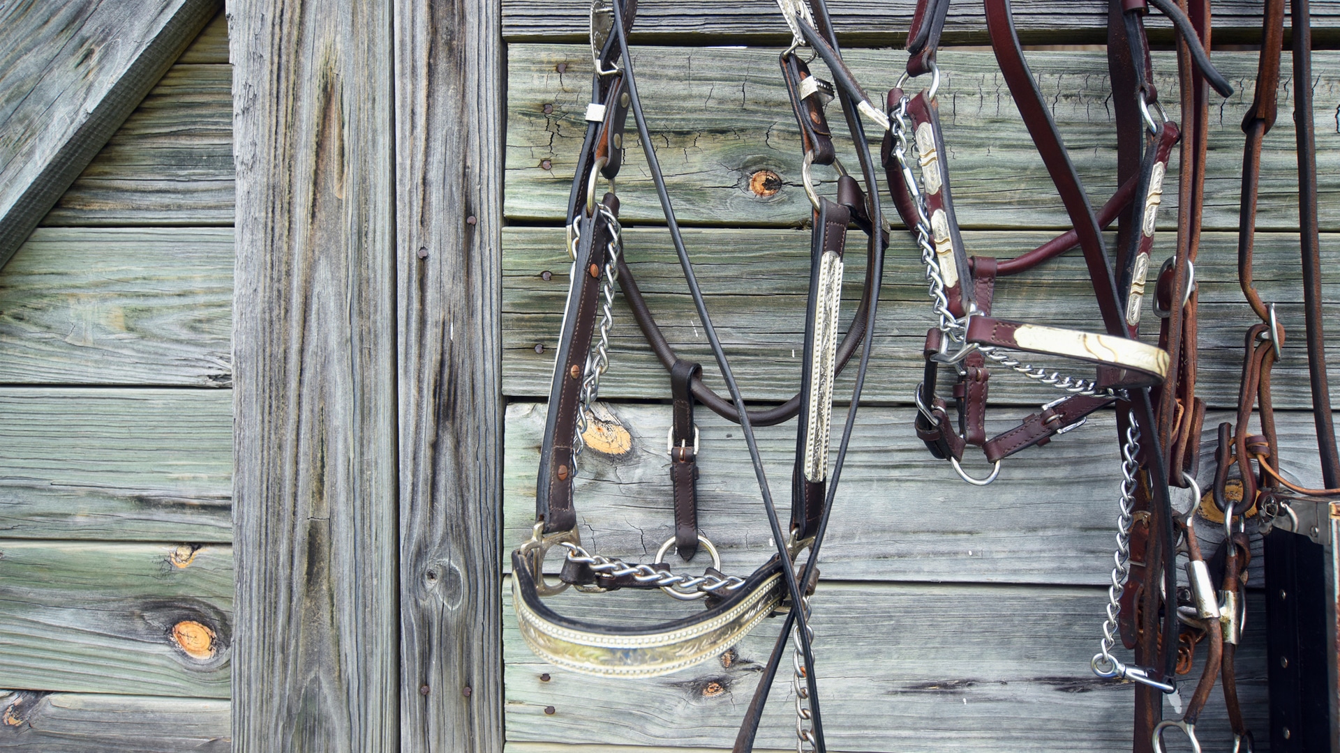 Bridle 1920